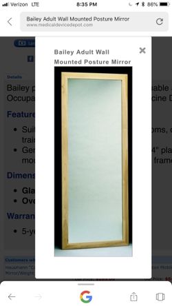 Bailey wall mount therapy mirror