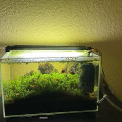 Uns 5g Aquarium 