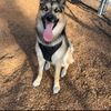 Kenai