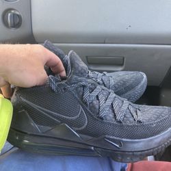 Labrons