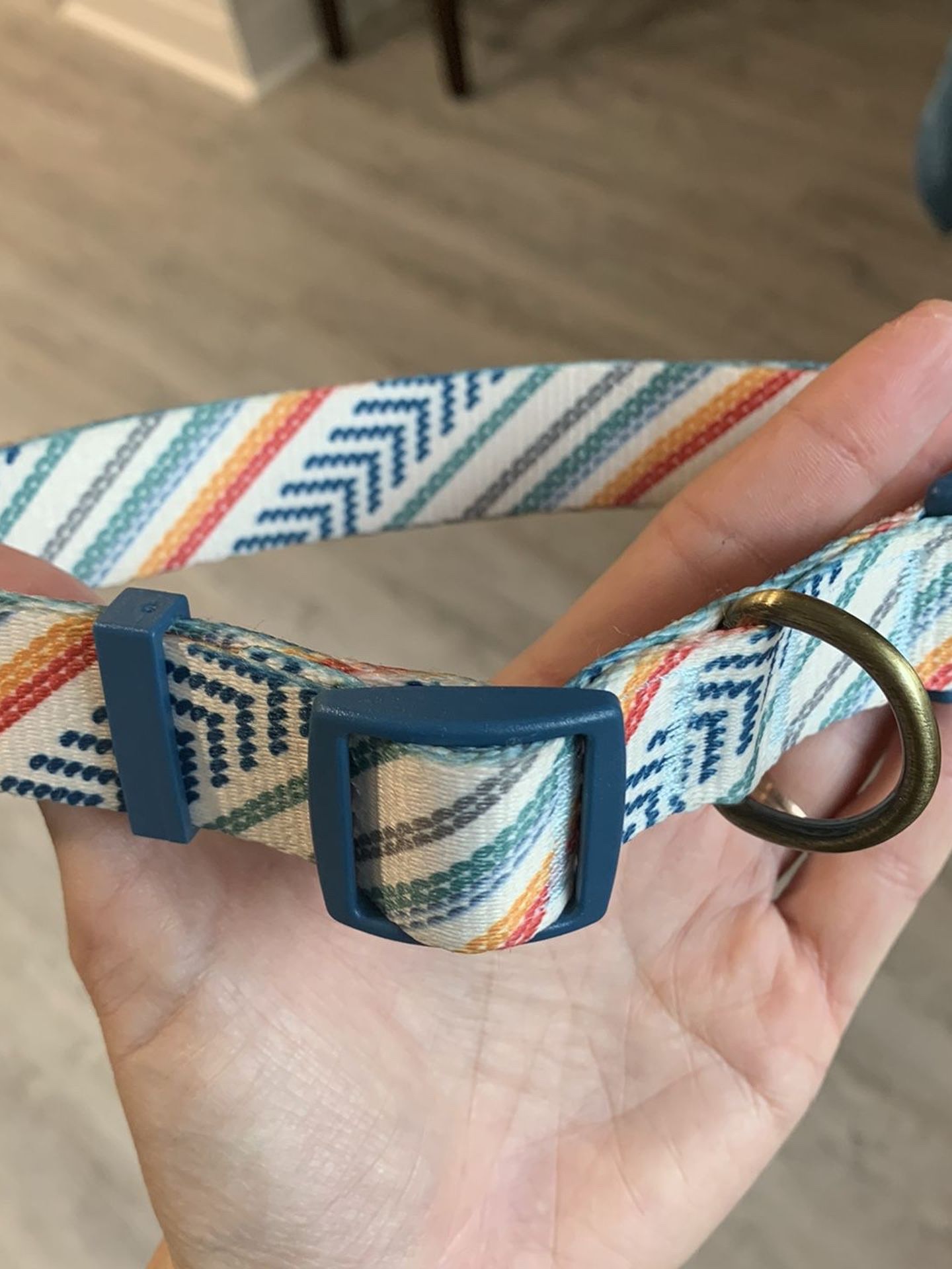 Brand New Dog Collar Medium