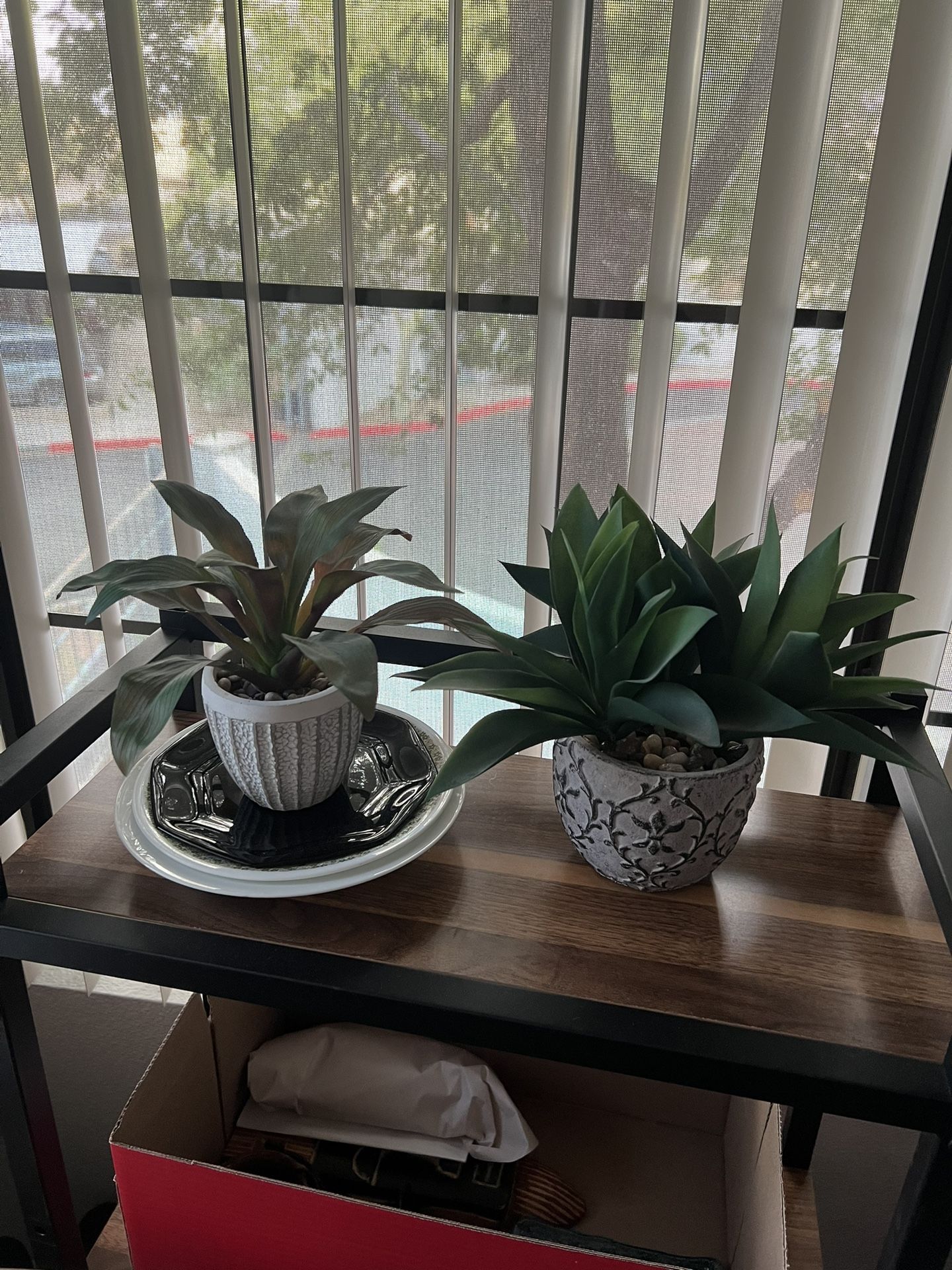 Faux Potted Plants 🪴