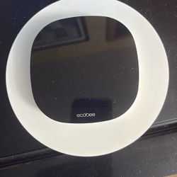 Ecobee Thermostat 