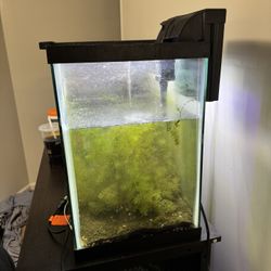 29 gal tank