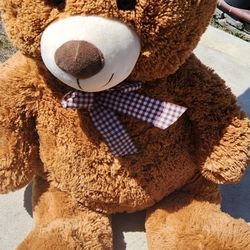 Teddy Bear