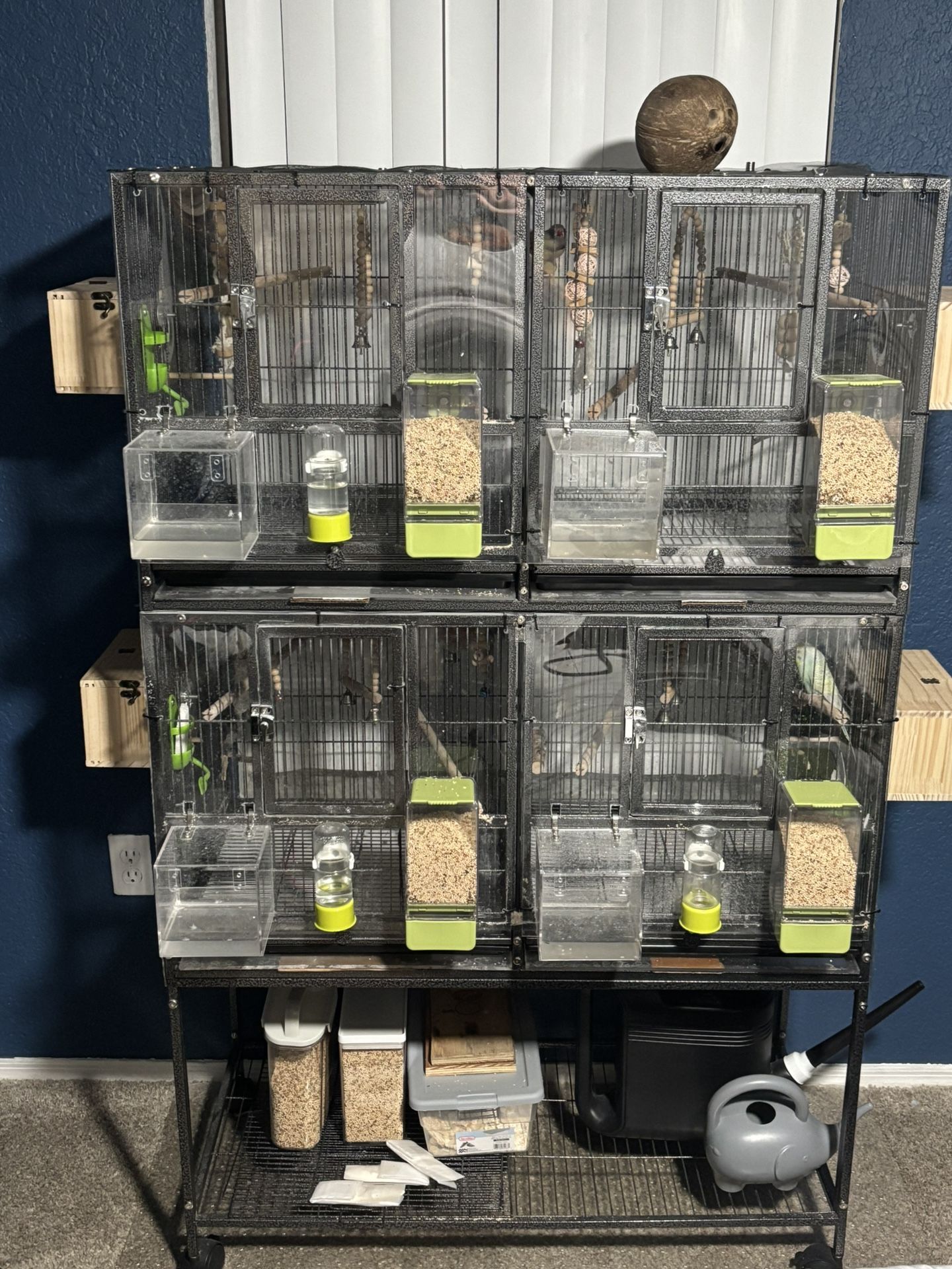 Bird Cage