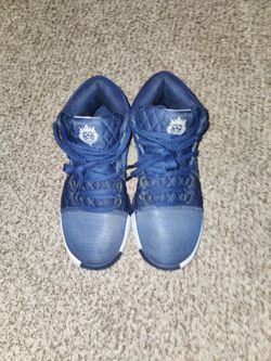 LeBron Witness 8 blue