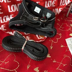For Small Dog Leash And Harness