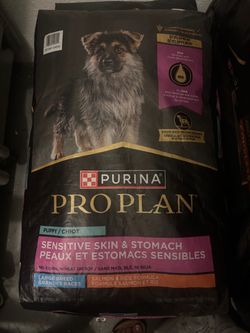 Sensitive skin puppy