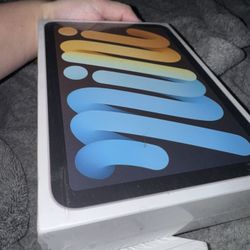 iPad mini 