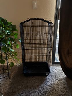 Bird cage