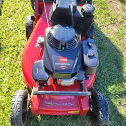 Toro Comercial