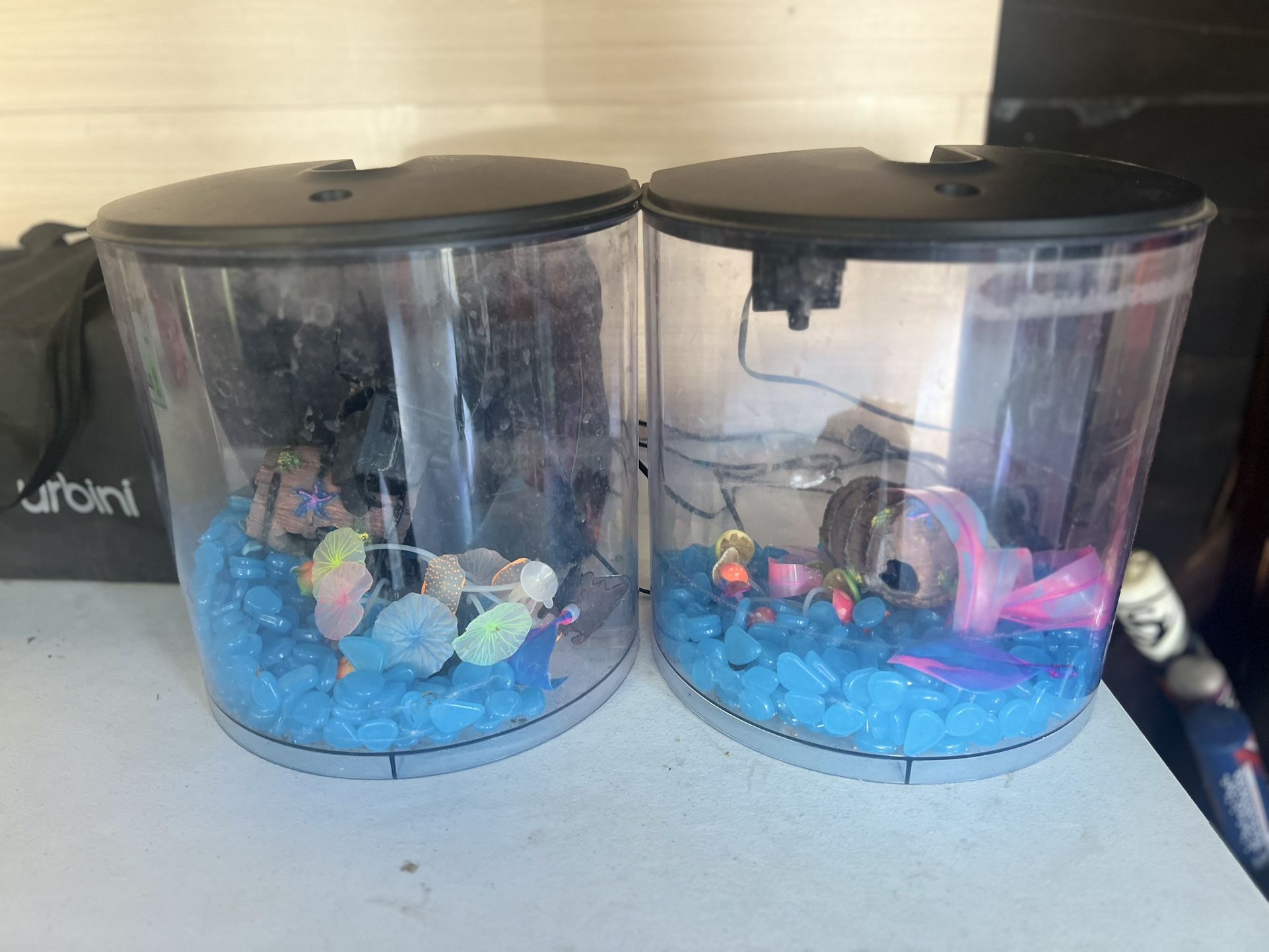 2 10gallon Tanks
