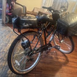 Vintage Schwinn “Supreme” Cruiser E-bike Conversion