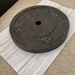 25 Lb Barbell Plate x2