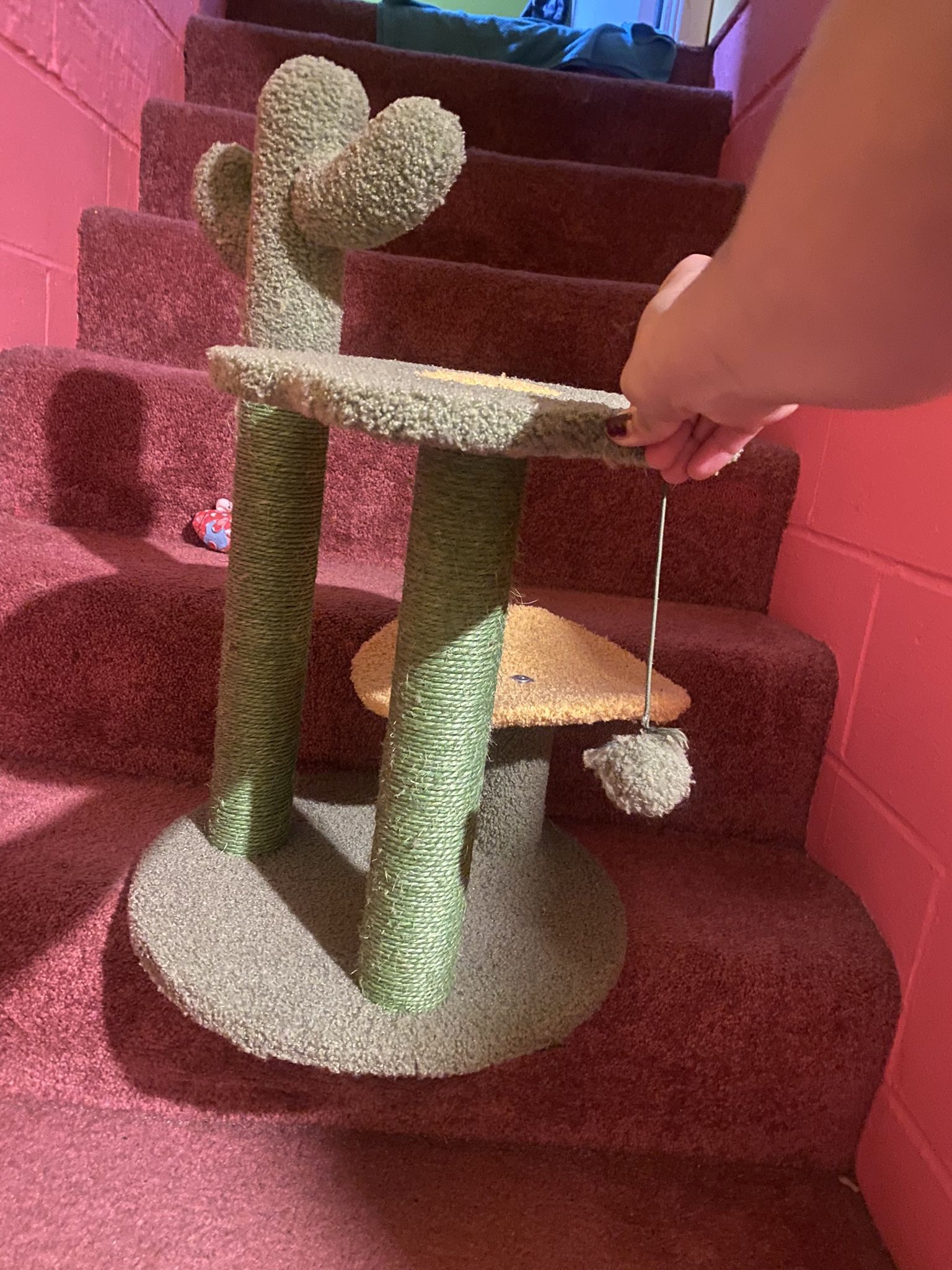 Small Cat Post