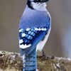 BlueJay