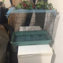 Bird Cage 