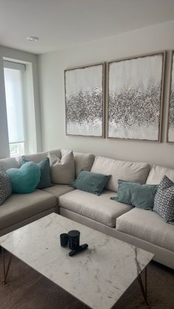Sectional couch for sale