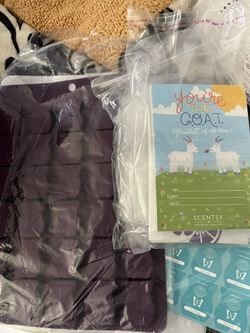 Scentsy Consultant Supplies