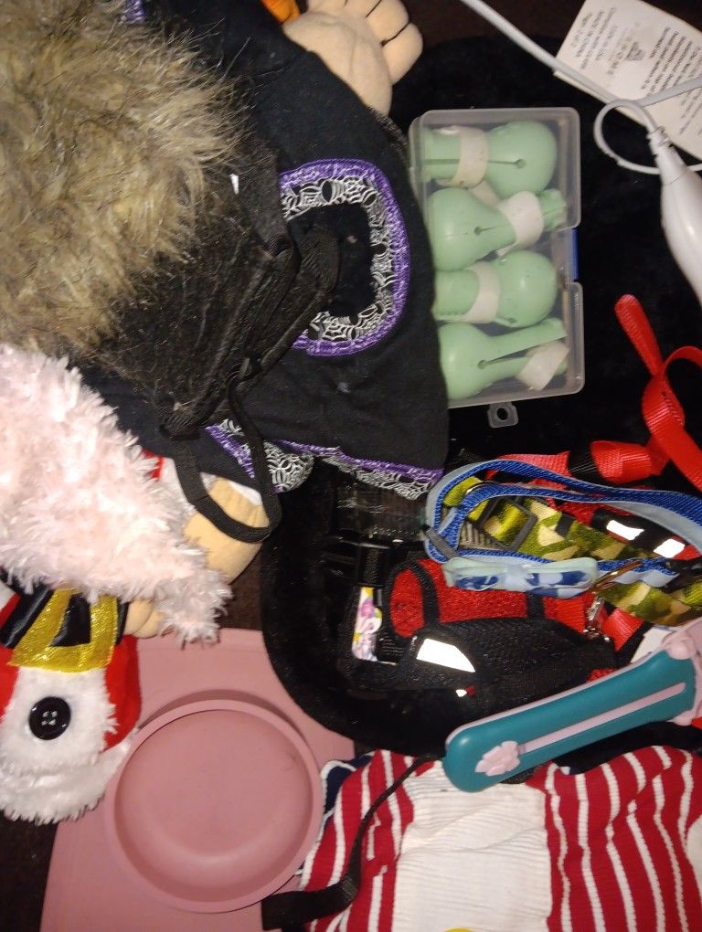 Pet Accessories