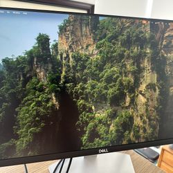 Dell S2421HN 24 Inch Full HD 1080p computer Monitor