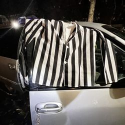 Costume Referee Or Beetle Juice.