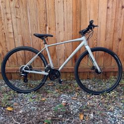 Giant Escape 2 Disc Hybrid Bike - Size Medium