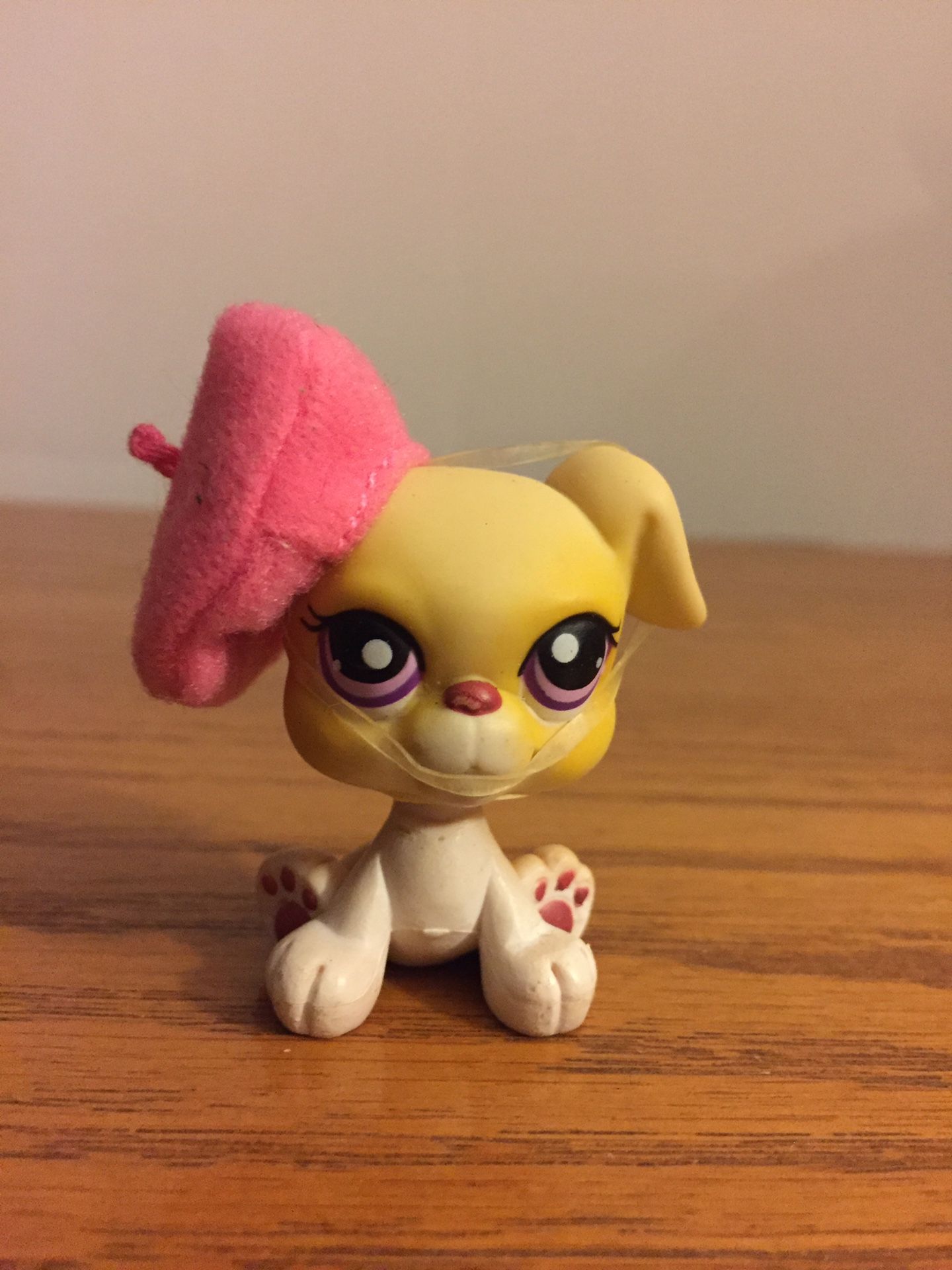 Littlest pet shop bulldog with purple eyes number 1342