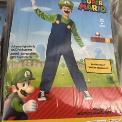 Luigi Halloween Costume 