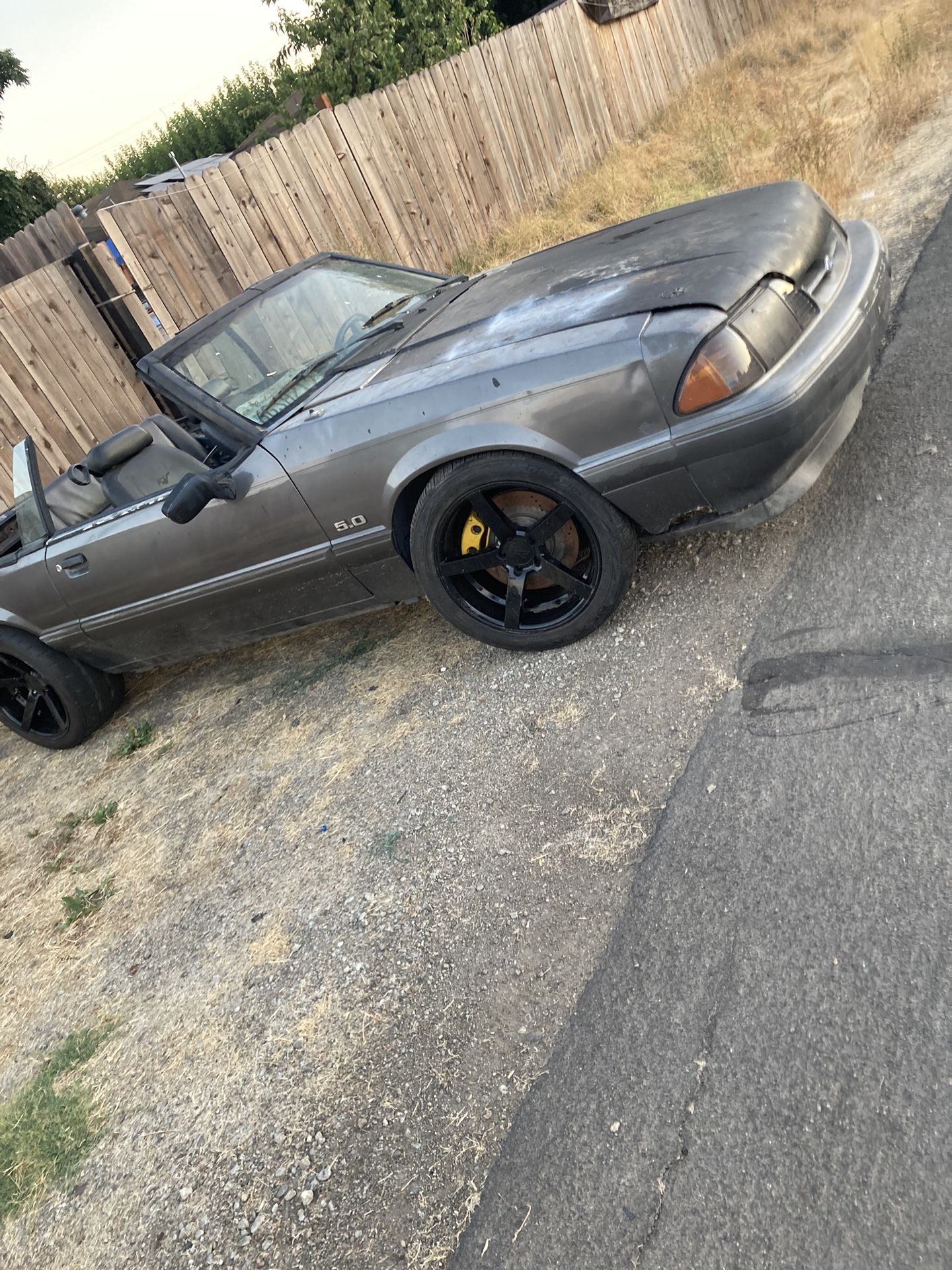 1991 Ford Mustang