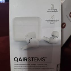 True Wireless Earbuds&Wireless Charging Case