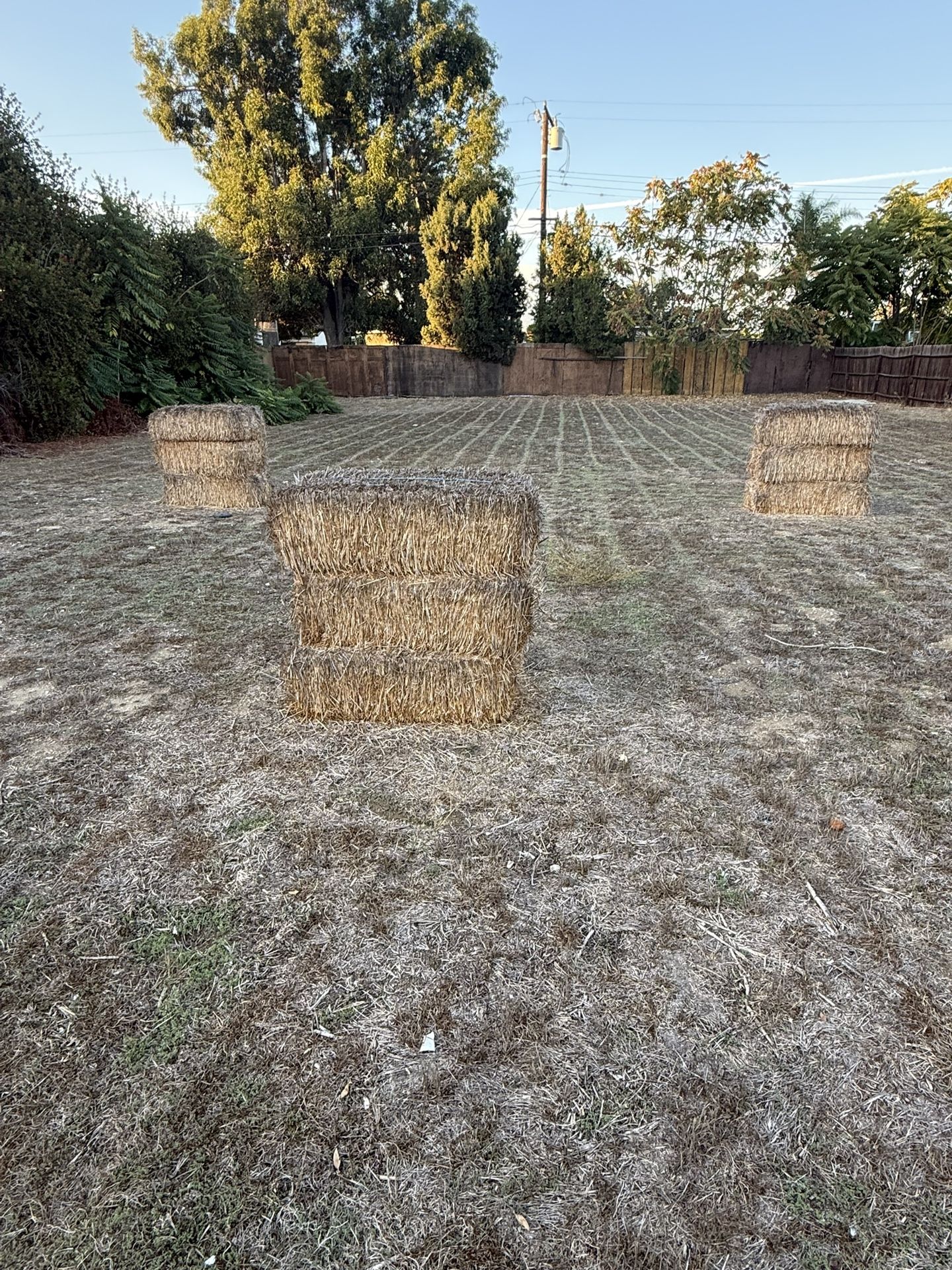 Straw Bales (FREE)
