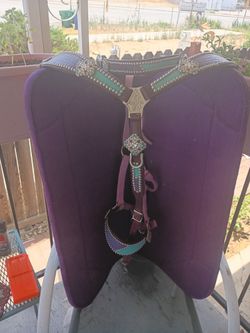 Custom Tack Set