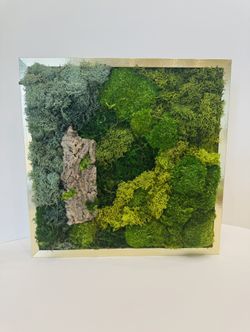 Moss Frame 