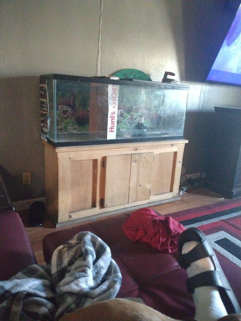 Fish Tank