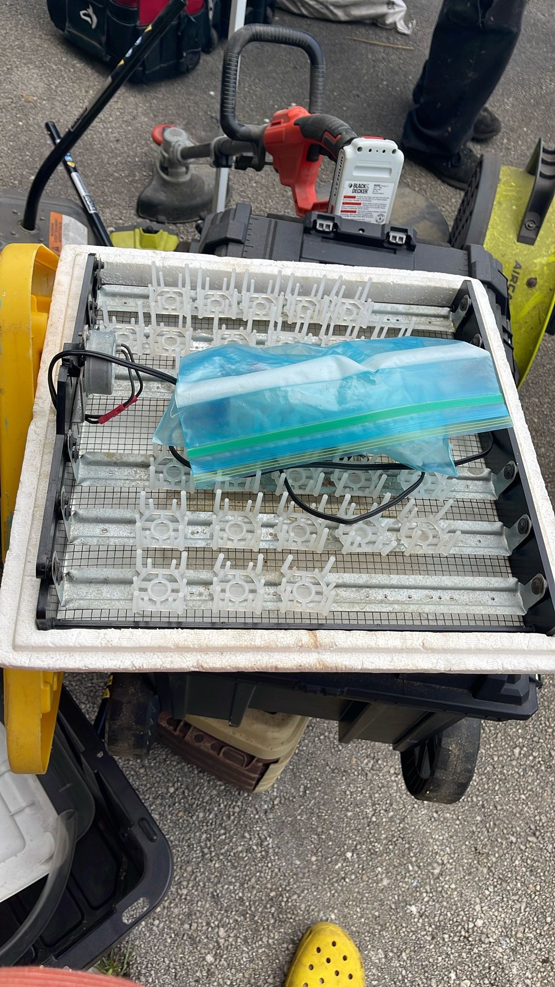 Little Giant Egg Incubator