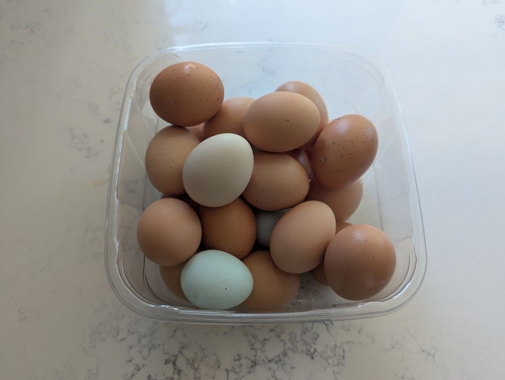 Farm Fresh Eggs
