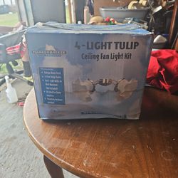 4 Light Tuilp 