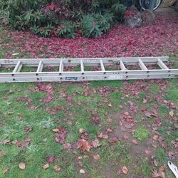 Aluminum Ladder