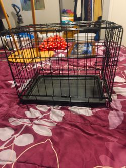 Kong dog cage