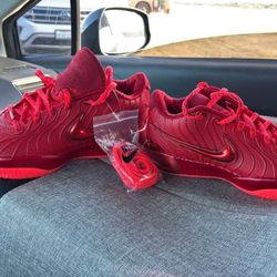 Nike LeBron 21 'James Gang' Size 10