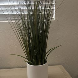 Fake House Plant 