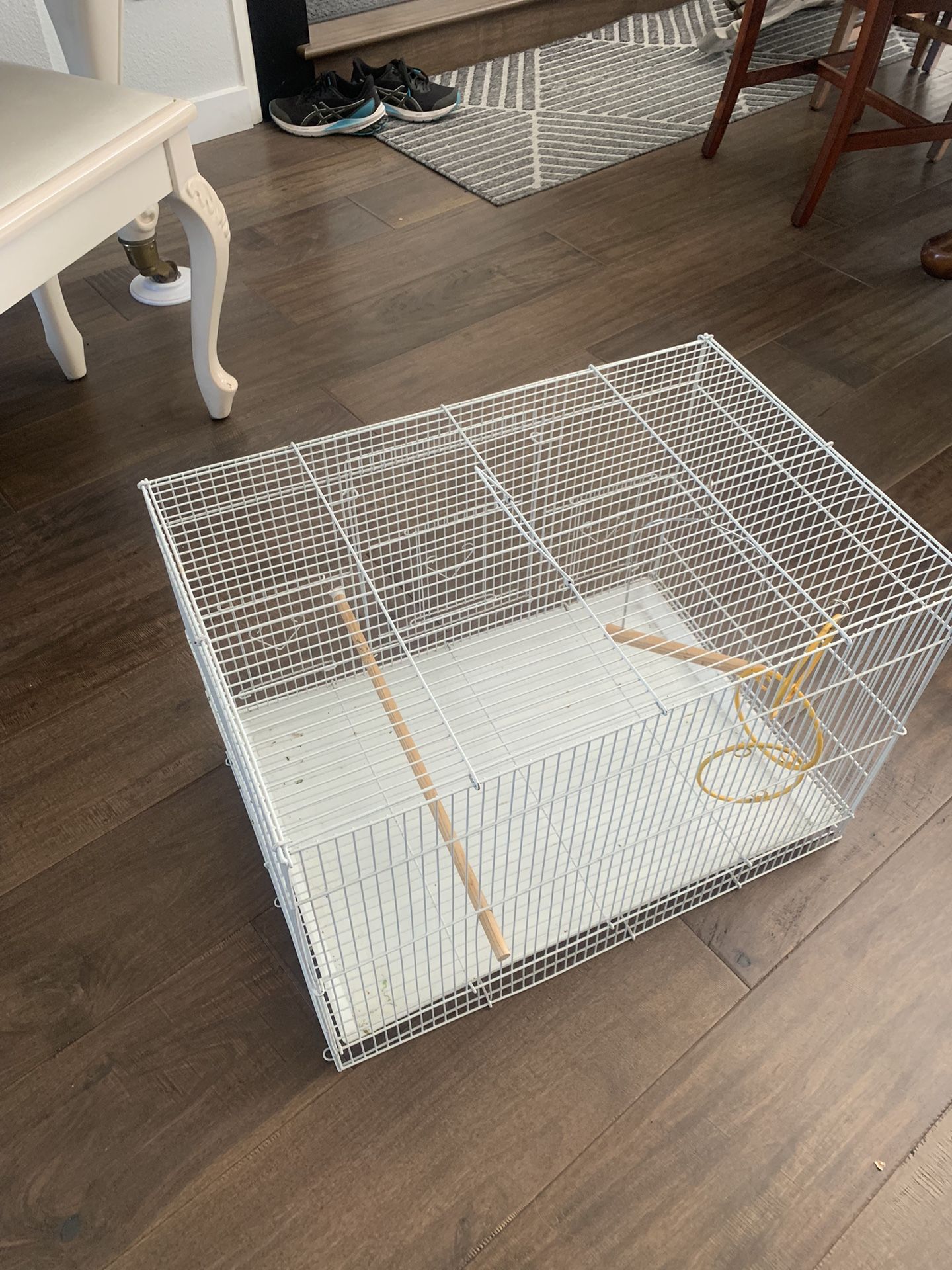 White Bird cage