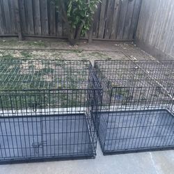 Dog Kennels