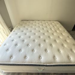 King Mattress + Box Spring (sell quickly)