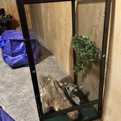 Chameleon cage 
