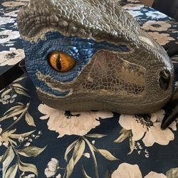 Raptor Mask