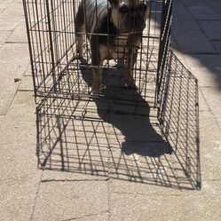 Cage. 