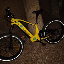 Magicycle e-bike Fairly Used Daily Commute 
